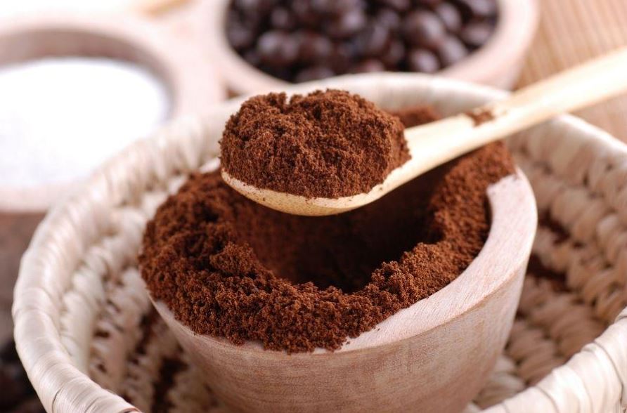 beneficios del café para las plantas